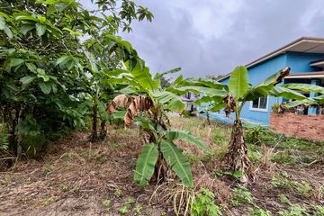 Land for sale in Sai Thai, Krabi