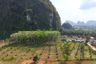 Land for sale in Nong Thale, Krabi