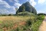 Land for sale in Nong Thale, Krabi