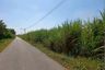 Land for sale in Wang Khanai, Kanchanaburi