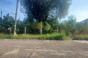 Land for sale in Lak Hok, Pathum Thani