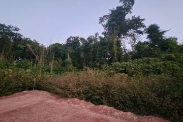 Land for sale in Na Sai, Nakhon Phanom