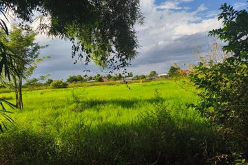 Land for sale in Buak Khang, Chiang Mai