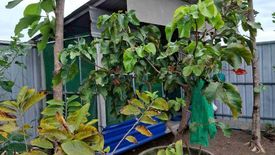 Land for sale in Bang Pakong, Chachoengsao