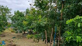 Land for sale in Bang Pakong, Chachoengsao