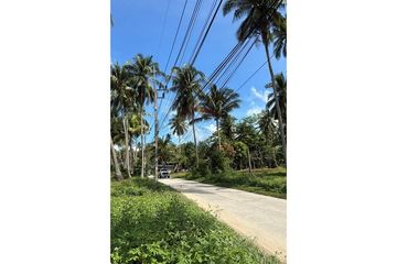Land for sale in Mae Nam, Surat Thani