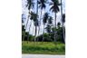 Land for sale in Mae Nam, Surat Thani