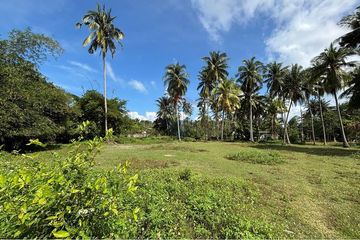 Land for sale in Mae Nam, Surat Thani