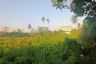Land for sale in Makham Tia, Surat Thani
