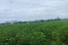 Land for sale in Map Yang Phon, Rayong