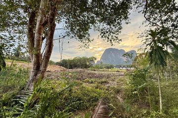 Land for sale in Khao Thong, Krabi