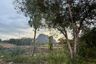 Land for sale in Khao Thong, Krabi