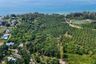 Land for sale in 
