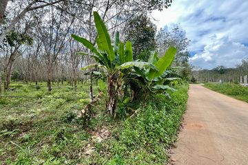 Land for sale in Nong Thale, Krabi