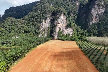 Land for sale in Khao Thong, Krabi