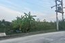 Land for sale in Salaya, Nakhon Pathom