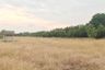 Land for sale in Bang Khla, Chachoengsao