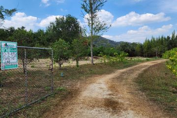 Land for sale in Wang Chan, Phetchaburi