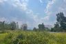 Land for Sale or Rent in Pak Chong, Nakhon Ratchasima