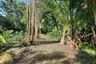 Land for sale in Tha Maka, Kanchanaburi