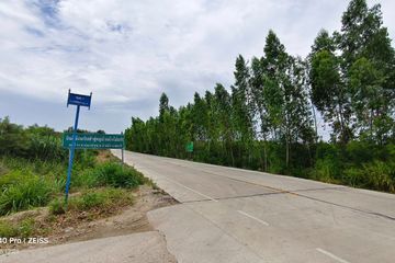 Land for sale in Nong Irun, Chonburi