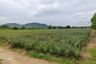 Land for sale in Nong Irun, Chonburi