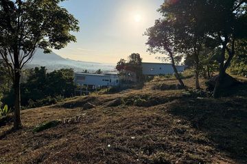 Land for sale in Maret, Surat Thani