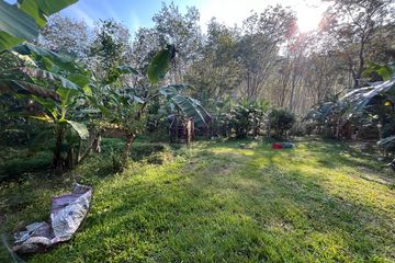 Land for sale in Nong Thale, Krabi