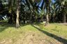 Land for sale in Nong Thale, Krabi