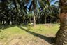 Land for sale in Nong Thale, Krabi