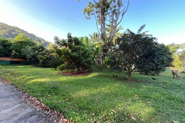 Land for sale in Nong Thale, Krabi