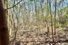 Land for sale in Pong, Chonburi