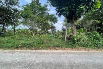Land for sale in Mae Nam, Surat Thani