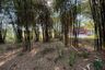 Land for sale in Surasak, Chonburi