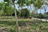 Land for sale in Thai Mueang, Phang Nga