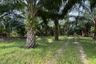 Land for sale in Thai Mueang, Phang Nga