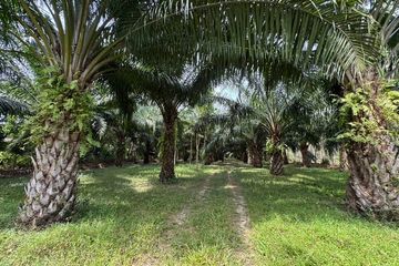Land for sale in Thai Mueang, Phang Nga