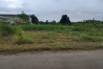 Land for sale in Nong Hong, Chonburi