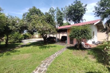 Land for sale in Wang Phong, Prachuap Khiri Khan