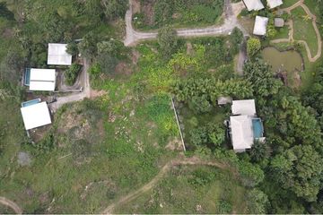 Land for sale in Mae Nam, Surat Thani