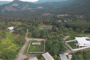 Land for sale in Mae Nam, Surat Thani