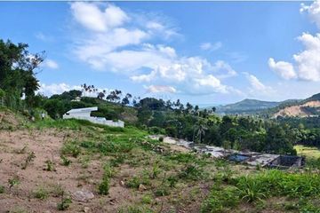 Land for sale in Mae Nam, Surat Thani