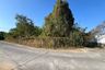 Land for rent in Pa Tan, Chiang Mai