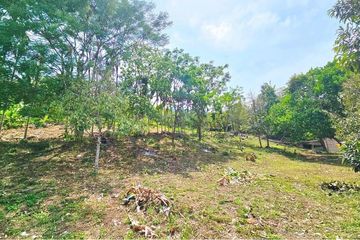 Land for sale in Maret, Surat Thani