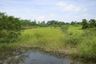 Land for sale in Bang Pla Kot, Nakhon Nayok