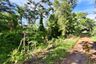 Land for sale in Bang Pla Kot, Nakhon Nayok