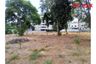 Land for sale in Nong Prue, Chonburi