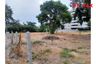Land for sale in Nong Prue, Chonburi