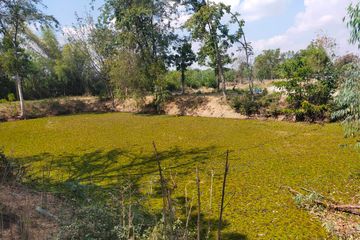 Land for sale in Rang Bua, Ratchaburi