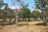 Land for sale in Rang Bua, Ratchaburi